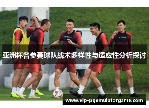 亚洲杯各参赛球队战术多样性与适应性分析探讨