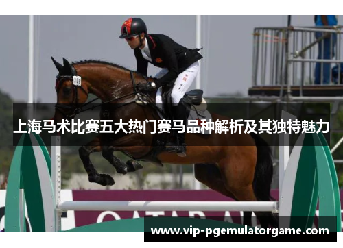 上海马术比赛五大热门赛马品种解析及其独特魅力