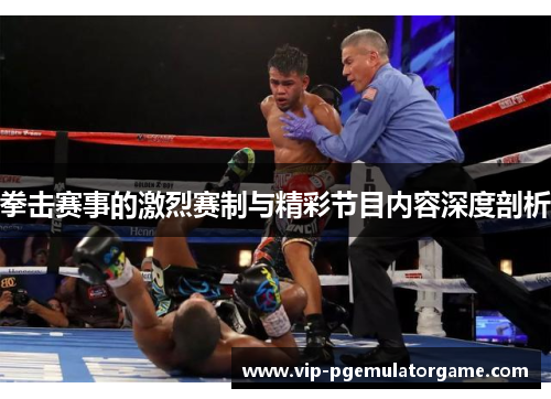 拳击赛事的激烈赛制与精彩节目内容深度剖析