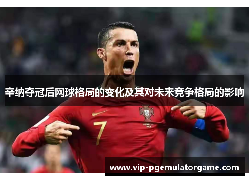辛纳夺冠后网球格局的变化及其对未来竞争格局的影响