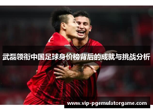 武磊领衔中国足球身价榜背后的成就与挑战分析