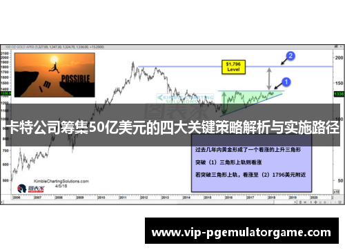 卡特公司筹集50亿美元的四大关键策略解析与实施路径