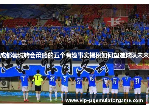 成都蓉城转会策略的五个有趣事实揭秘如何塑造球队未来
