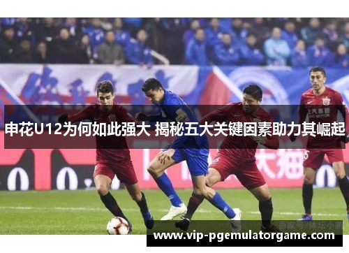 申花U12为何如此强大 揭秘五大关键因素助力其崛起