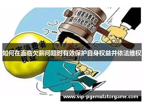 如何在面临欠薪问题时有效保护自身权益并依法维权