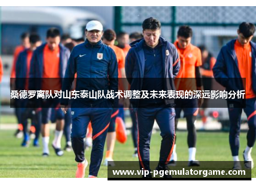 桑德罗离队对山东泰山队战术调整及未来表现的深远影响分析