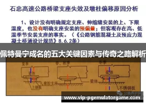 佩特曼宁成名的五大关键因素与传奇之路解析