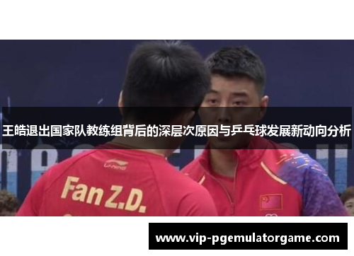 王皓退出国家队教练组背后的深层次原因与乒乓球发展新动向分析