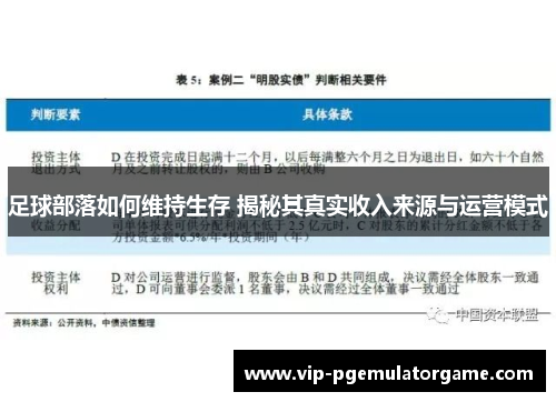 足球部落如何维持生存 揭秘其真实收入来源与运营模式