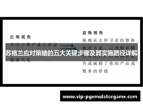 苏格兰应对策略的五大关键步骤及其实施路径详解