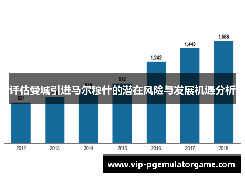 评估曼城引进马尔穆什的潜在风险与发展机遇分析