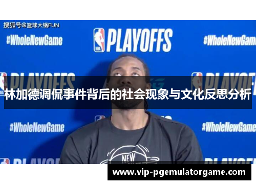 林加德调侃事件背后的社会现象与文化反思分析