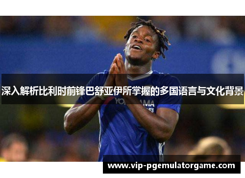 深入解析比利时前锋巴舒亚伊所掌握的多国语言与文化背景