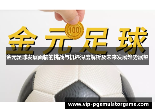 金元足球发展面临的挑战与机遇深度解析及未来发展趋势展望