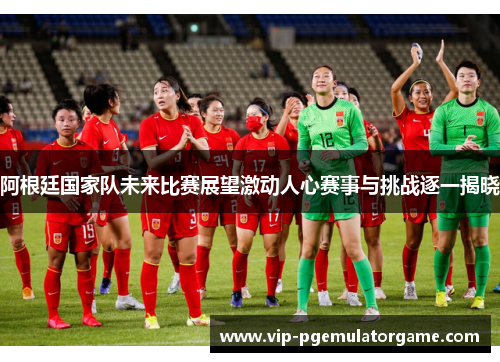 阿根廷国家队未来比赛展望激动人心赛事与挑战逐一揭晓