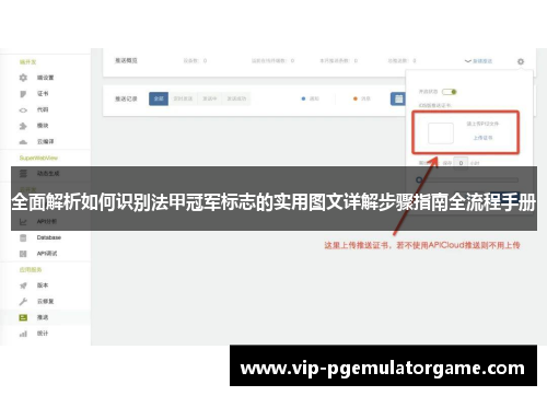 全面解析如何识别法甲冠军标志的实用图文详解步骤指南全流程手册