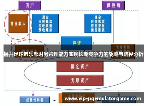 提升足球俱乐部财务管理能力实现长期竞争力的战略与路径分析