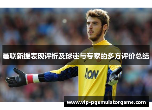 曼联新援表现评析及球迷与专家的多方评价总结