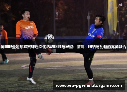 美国职业足球联赛球迷文化活动回顾与展望：激情、团结与创新的完美融合